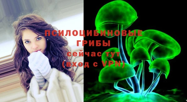 бошки Абдулино