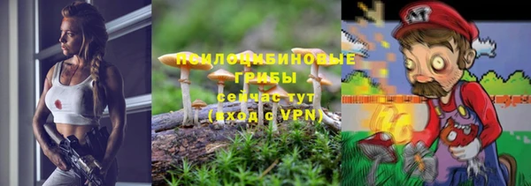 PSILOCYBIN Абинск