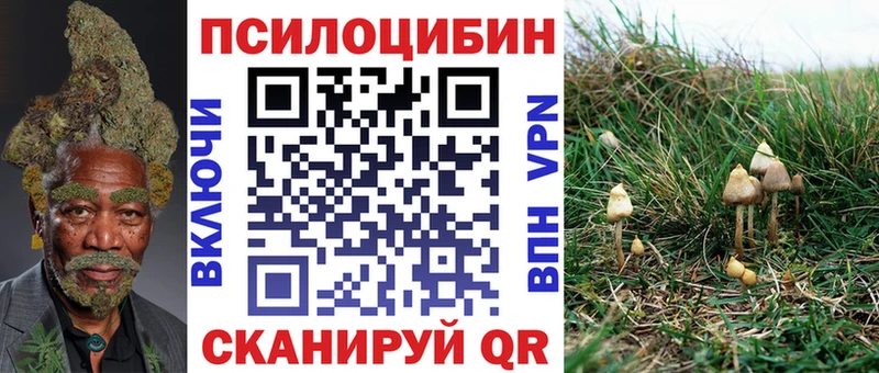 Галлюциногенные грибы GOLDEN TEACHER  как найти закладки  Грозный 