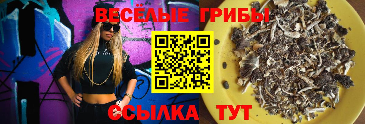 купить наркотики цена  Вход с VPN  Грозный  Галлюциногенные грибы GOLDEN TEACHER 