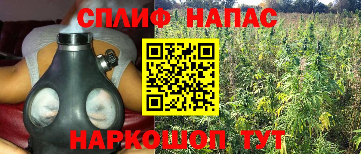 Конопля VHQ  Канабис SATIVA & INDICA  Грозный  Канабис сатива  Вход с VPN 